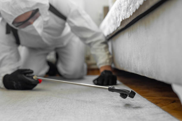 Professional Ant Control technician working in Asheville, NC