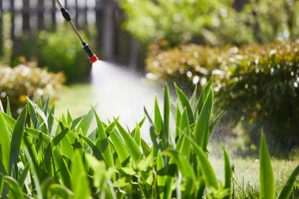 24/7 Emergency Ant Control experts in Asheville, NC