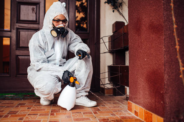 Reliable Ant Control contractor in Asheville, NC by Nex Pest Control